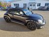 VW Beetle ewighausen