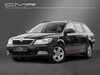 Skoda Octavia schoental