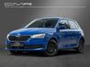 Skoda Fabia schoental