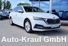 Skoda Octavia huelseburg