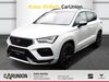 Cupra Ateca schwallungen
