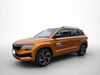 Skoda Karoq ober-hilbersheim