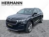 Skoda Kodiaq Röhrig
