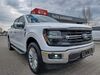 Ford F 150 geisenfeld