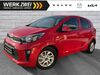 Kia Picanto kuehbach