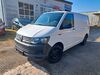 VW T6 Transporter teichweiden