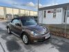 VW Beetle juetrichau