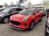 Ford Puma twistetal