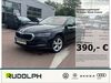 Skoda Octavia querfurt