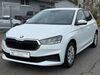Skoda Fabia rehlingen
