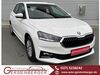 Skoda Fabia kreis|tuebingen