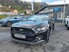 Ford Mustang teichweiden
