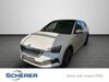 Skoda Scala ober-hilbersheim