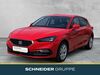 Seat Leon stumsdorf