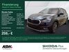 Skoda Fabia ockenheim