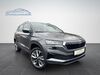 Skoda Karoq walhausen