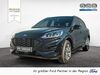 Ford Kuga deutschland