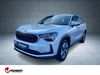 Skoda Kodiaq goergeshausen