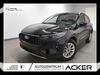 Ford Kuga Münster-Sarmsheim