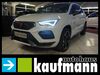 Cupra Ateca Mittelstetten