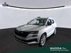 Skoda Karoq bueddenstedt