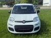 Fiat New Panda schenkenzell