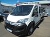 Citroen Jumper woelferbuett