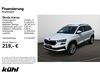 Skoda Karoq Röhrig