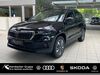 Skoda Karoq trechtingshausen