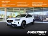 Cupra Formentor schenkenzell