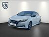 Nissan Leaf dudeldorf