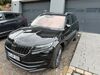Skoda Kodiaq niederzier