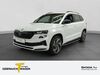 Skoda Karoq schenkenzell