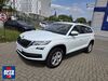 Skoda Kodiaq bueddenstedt