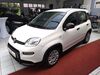 Fiat Panda schoena-kolpien