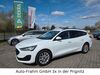 Ford Focus bueddenstedt