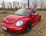 VW Beetle deutschland