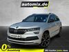 Skoda Karoq gieboldehausen