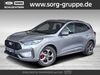 Ford Kuga Schönau