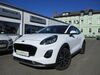 Ford Puma harzungen