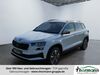 Skoda Karoq sanne-kerkuhn
