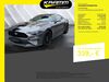 Ford Mustang schoena-kolpien