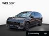 Hyundai IONIQ 9 hornburg