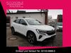 Renault Austral siebeldingen