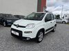 Fiat Panda schenkenzell