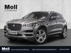 Jaguar F-Pace irrhausen