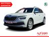 Skoda Kamiq bueddenstedt