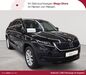Skoda Kodiaq ober-hilbersheim