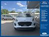 Ford Puma grafenhausen