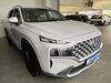 Hyundai SANTA FE Müden (Aller)